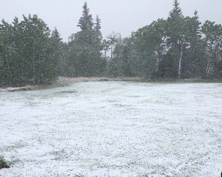 A snowfall warning is in effect for northern Alberta. This photo was sent into The Western Producer by Wayne Christie "‏@wspchris" from Beaverlodge, Alberta. | Photo by Marilyn Gustavson