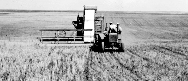 This harvesting photo was labelled “M. Watson, Provost, Alta., 1937.”  |  file photo