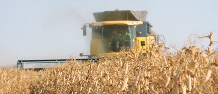 Commodity analysts and traders are at odds over average pea yield estimates and pea acre estimates, resulting in price predictions that are both bearish and bullish.  |  File photo