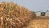 The barometer will give investors, lenders, traders and farmers a broadly representative snapshot of how U.S. producers are feeling. It will be released the first Tuesday of every month. | File photo