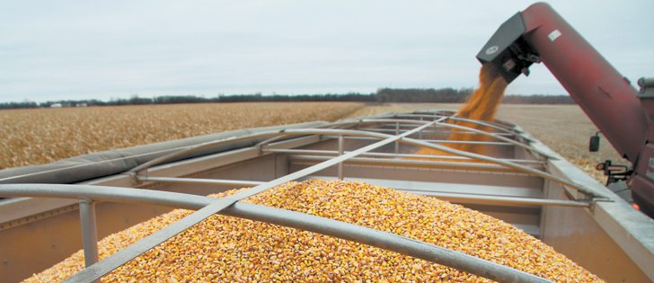 The multinational companies that dominate the global seed and crop protection industry are consolidating.  |  File photo