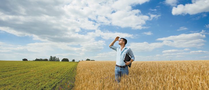The federal and provincial governments must support young farmers with innovative programs to keep family farms producing quality, local food.  |  Stock photo