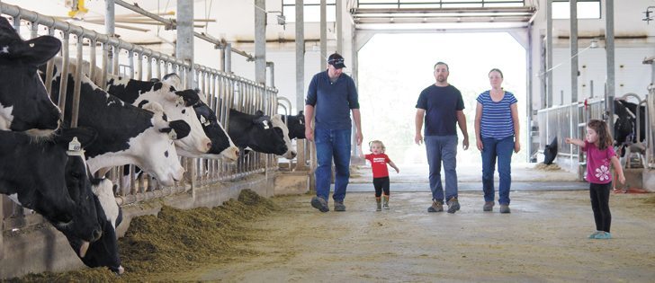 Graham Johnston, left, daughter, Julia, Joe and Mary Ann Doré and daughter, Nadine, take a walk through the barn at Heritage Hill dairy near New Dundee, Ont.  |  Sharon Grose photo