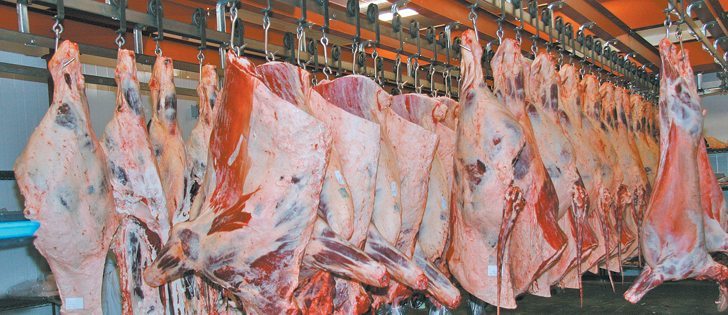 The Beef Cattle Research Council will soon release an updated verified beef production program designed to assure consumers of safe, humanely raised, environmentally sustainable food.  |  File photo