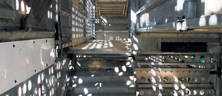 Research shows many back bruises in cattle happen in transport trailers like this one.  |  File photo