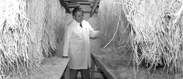 Aldo Del Frari was part of a group of farmers from Cut Knife, Sask., that bought a noodle manufacturing plant in Saskatoon in 1987 to maintain a market for their grain. Del Frari was vice-chair of Western Noodle.  |  File photo