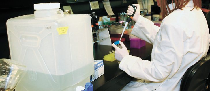Changes to gene altering technology pose new questions for regulators.  |  File photo