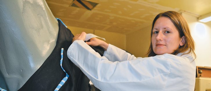 Julia Montgomery, research supervisor and assistant professor in large animal clinical sciences at the Western College of Veterinary Medicine, places the test harness on “Earl” to get the right fit.  |  Tennessa Wild photo