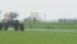 Only about one percent of all pesticides in Canada have conditional registrations, but the Health Canada practice became controversial because many neonicotinoids, a class of insecticides linked to bee deaths and colony losses, have conditional registrations. | File photo