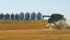 If the weather co-operates, prairie farmers could harvest a massive lentil crop that could depress prices. | File photo