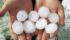Reports of hail have been coming in across the Prairies, which could lead to delays in crop damage assessments. | File photo