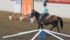 Jenna Beck of the Meadowbank 4-H Light Horse Club takes Fancy through the Jeopardy Trail obstacle course. | Karen Morrison photo