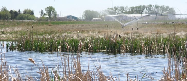 Manitoba is fully committed to the Alternative Land Use Services model and plans to implement the ecosystem services program to manage water in the province. | File photo