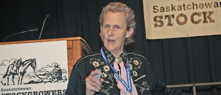 Temple Grandin says producers need to follow proper scoring systems and not load animals that have problems with feet or legs.  |  Karen Briere photo