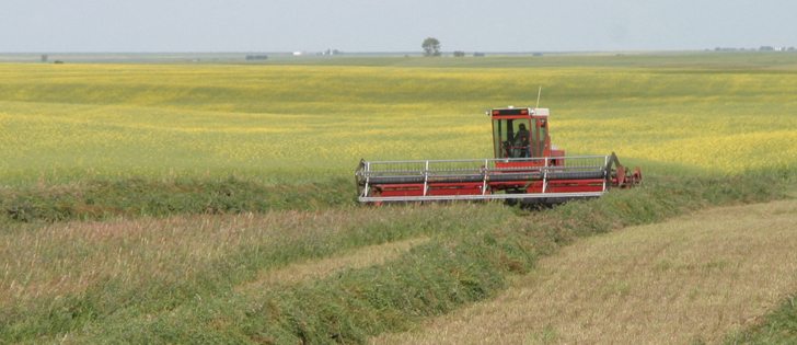 Haying is well underway across the Prairies. | File photo