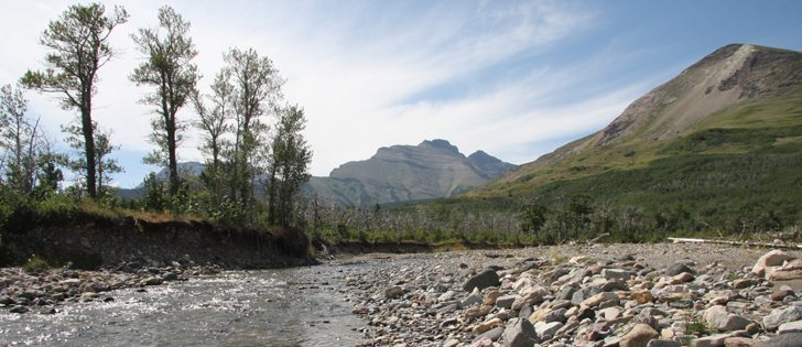 Watershed stewardship programs will not receive funds through an Alberta government grant program this year. | File photo