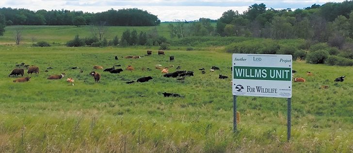 Land such as the Willms property is an example of what the Manitoba Habitat Heritage Corp. does in the province.  |  Manitoba Habitat Heritage Corp.  photo