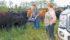 Barry Chescu, with his wife, Glenda, feed some chop to cattle at the Twin Brae Simmentals farm near Inglis, Man. | Karen Morrison photo