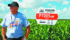Ellis Clayton, technical product manager of DuPont Pioneer Canada, stands in front of corn trials conducted at the company’s research centre near Saskatoon. | Tennessa Wild Photo