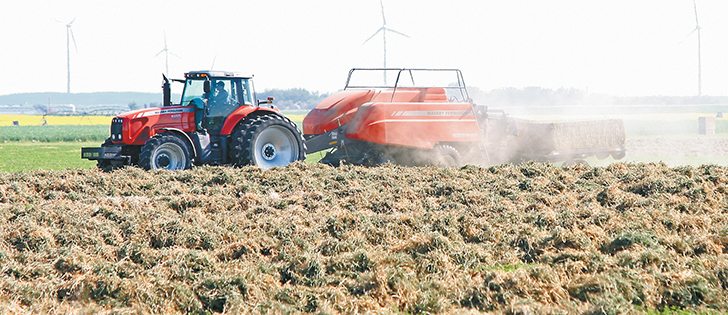 Rain is making it difficult to cut or bale hay in many areas this summer. High quality forage could reap a premium.  |  File photo