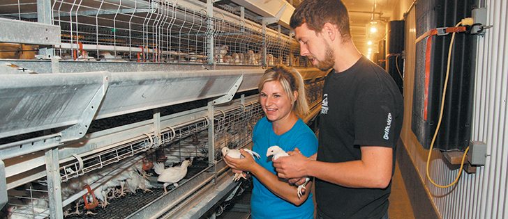 Kaylin and Tyler Wiens are part owners of a 62,500 layer hen operation that produces 60,000 eggs daily.  |  Sean Pratt photos