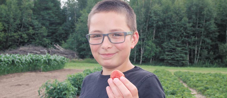  Levi Williamson helps out at his family’s U-pick operation near Pine River, Man.  |  Karen Morrison photo