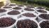 Saskatoons and other fruit, such as cherries, raspberries and strawberries, were ripe two to three weeks ahead of their usual time. | File photo