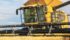 Andrew Ayre, owner of Southern Seed Ltd., straight combines winter wheat in late July near Minto, Man. | Glenn Dickson photo