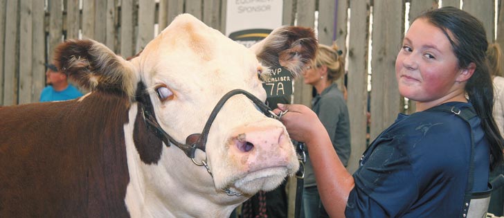 Jacey Massey of Strathmore, Alta., showed the grand champion female at the Canadian Junior Hereford Association Bonanza held in Olds, Alta., from Aug. 10-13.  |  Barbara Duckworth photo