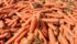 The Farm Products Marketing Commission, a regulatory agency established by the Ontario government, is considering removing the marketing authority of the Ontario Processing Vegetable Growers. | file photo