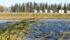 Manitoba's former NDP government introduced surface water management legislation last year that would have had a lasting impact on rural landowners. The NDP failed to introduce the bill for a vote in the legislature, so it never became law.
| File photo