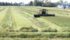 Dean Olson of Rimbey, Alta., hurries to get his swathing finished earlier this month as the weather forecast called for rain. Once done, his total was estimated to be 800 acres of canola ready for the market — if the price is good. Olson said he will hold the crop until the time is right.  |  F. Scott Aitken photo