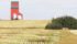 Statistics Canada pegs the canola crop at 17 million tonnes, while the trade pegs it at 18 million tonnes. | Robin Booker photo