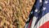 The most accurate way to measure the potential corn crop is to analyze July weather in key growing states, says an American market expert. | Michael Raine photo