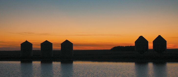 Farmers with bin space who store canola and wheat could be waiting a long time for a price rally.  |  File photo