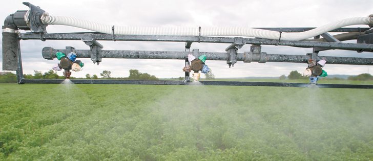 Application of glyphosate will result in absorption and increased residue levels if seed moisture is 30% or higher. | File photo