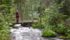Karst Spring Trail offers visitors a 3.2 kilometre hike through northwestern Manitoba’s Grass River Provincial Park. | Arlene and Robin Karpan photo