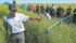 Running at eight m.p.h. between stakes, Tom Wolf illustrates sprayer nozzle penetration during a Canola Harvest Innovation Demo Day hosted by BASF July 27 at Stenen, Sask. | William DeKay photo