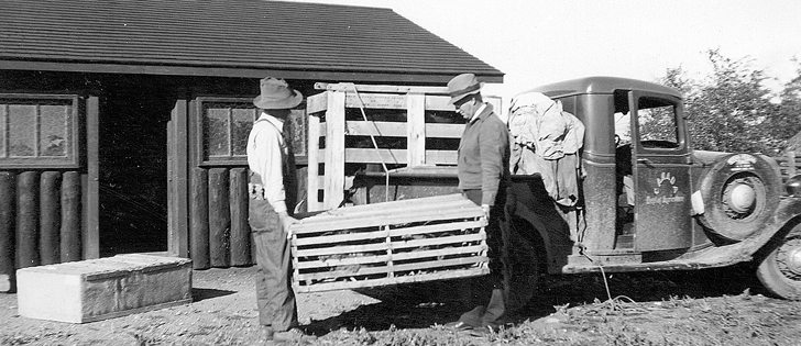 Purebred pullets were delivered to the federal illustration station in Glenbush, Sask., in this undated photo. The bull calf in the crate in the back of the truck was from Meadow Lake, Sask. Illustration stations were set up to demonstrate agricultural practices to farmers.  |  File photo