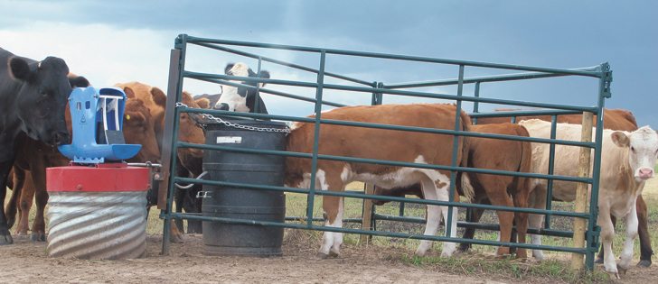 Frostfree Nosepumps’ creep watering attachment allows young or weak calves to access water from a trough that is filled by larger animals using the pump.  |  Frostfree Nosepumps Ltd. photo