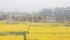 China is Saskatchewan's second largest export market, and Wall said improved access under the new free trade agreement with South Korea should provide better opportunities for beef and other commodities. | File photo