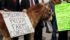 Opponents of the government's plan to close six prison farms across Canada rallied on Parliament Hill in 2010. | File photo