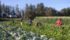 A federal committee reviewing the Temporary Foreign Worker Program has made encouraging recommendations for Canada's agriculture and agri-food sector. | File photo