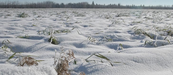 In an Oct. 31 new release, FCC said it work with farm customers to find solutions to financial issues. | File photo