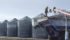 Farmers are doing what they can to salvage this year’s harvest. Nick Scharf of Perdue, Sask., throws his shovel after pulling back freshly dried canola from the edge of the grain cart, which was then loaded in grain bags Oct. 12. | William DeKay photo