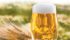 David Hysert, past president of the American Society of Brewing Chemists, said the craft brewery revolution has led to a corresponding revolution in the hops industry. Craft brewers use 10 times the amount of hops as mainstream brewers.
| Sean Pratt photo