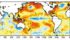 This map from the NOAA Climate Prediction Center shows sea surface temperature anomolies from Sept. 25 to Oct. 22. The blue area in the central Pacific Ocean indicates cooling water temperatures and a trend toward a La Nina event. There is now about a 70 percent chance of a La Nina forming before the end of this year. La Ninas tend to deliver drier weather to Argentina and southern Brazil. | NOAA image