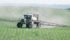 A panel of scientists from several countries concluded that glyphosate is not carcinogenic for humans. | File photo