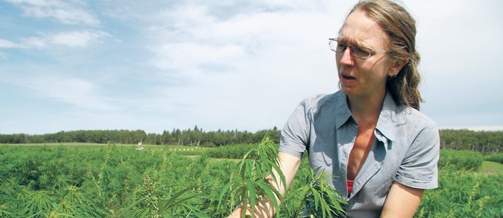Anndrea Hermann says Canada’s hemp industry will benefit from a developing hemp sector in the U.S., because it should boost awareness and demand for hemp products.  |  Robert Arnason photo