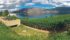 Vineyards come up to the edge of Evolve Cellars on the shores of Lake Okanagan in Summerland, B.C. | Terry Fries photo